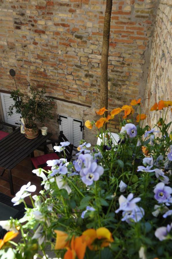 B&B Albornoz Urbino Esterno foto